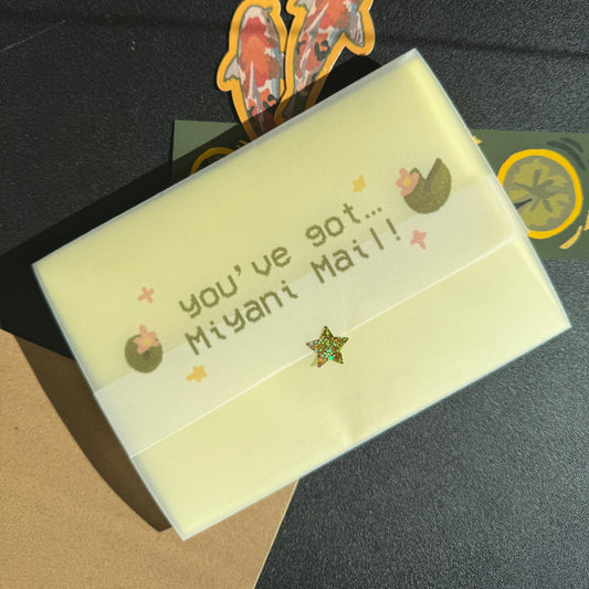 Monthly Snail Mail Club Subscription