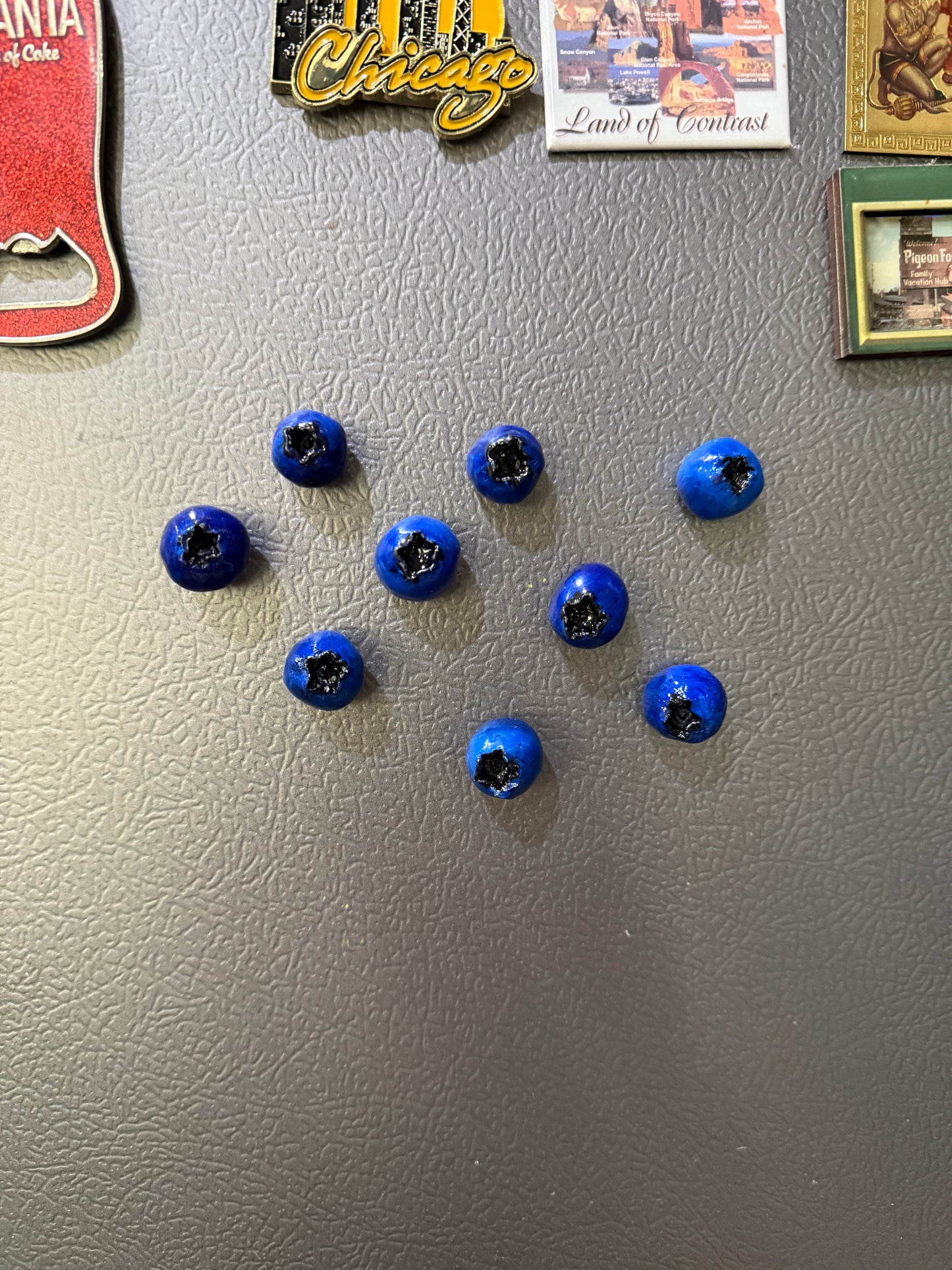 Handmade Blueberry Magnets Clay